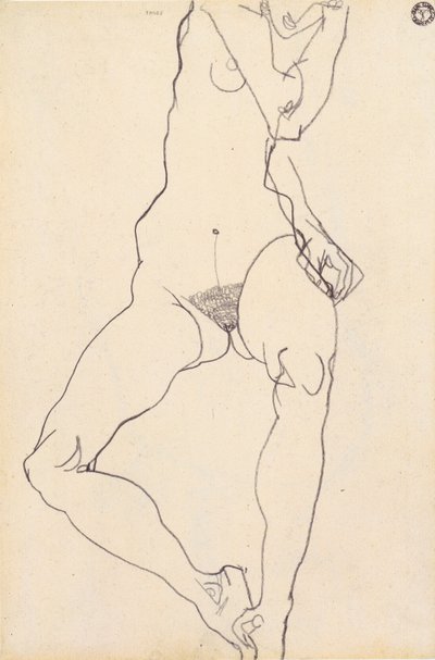 Sitzender weiblicher Akt von Egon Schiele